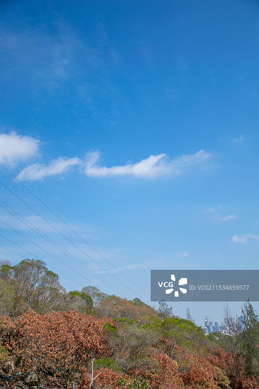 厦门东坪山公园 荒野 秋天 城市景色图片素材