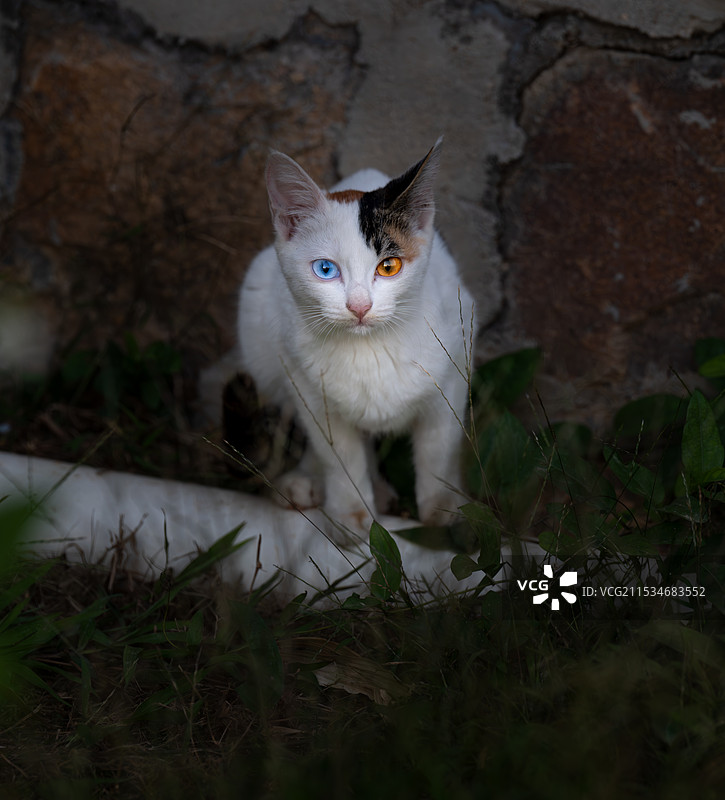 冰与火之歌图片素材