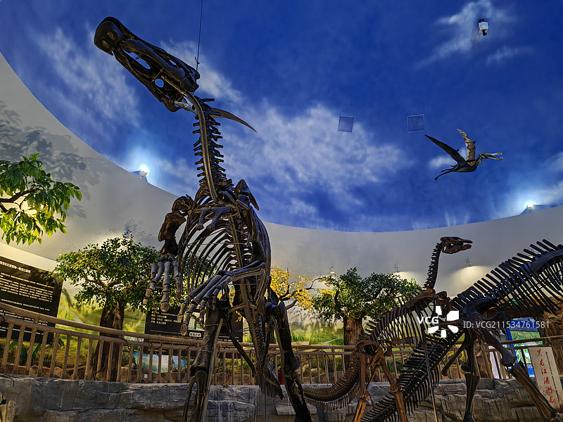 伊春嘉荫恐龙国家地质公园图片素材