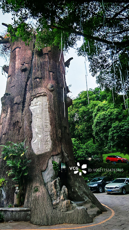 深圳市青青世界旅游区图片素材