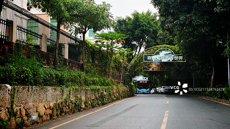 深圳市青青世界旅游区图片素材