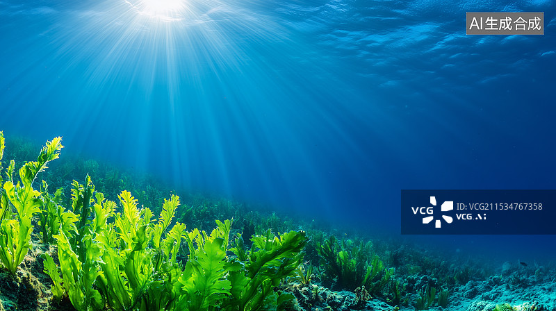 【AI数字艺术】海底光影下的绿藻图片素材