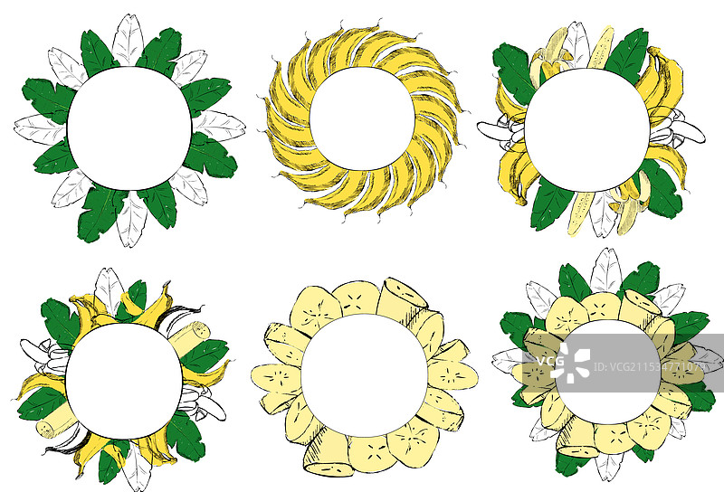 热带叶子装饰的圆形框架套装图片素材