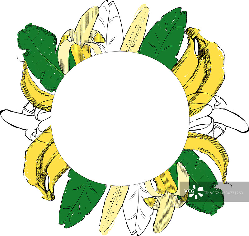 香蕉和热带丛林叶子圆形图案图片素材