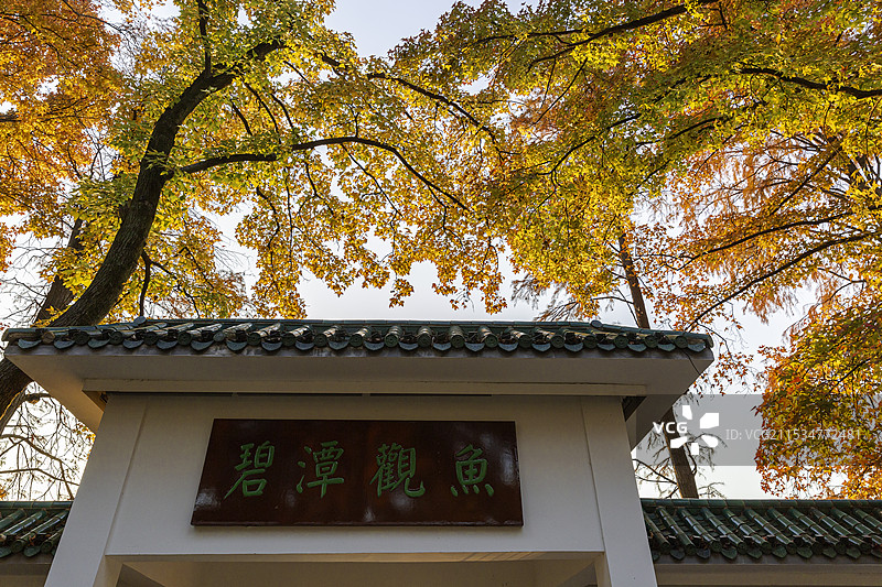 七彩的碧潭观鱼大门--武汉东湖听涛风景区图片素材