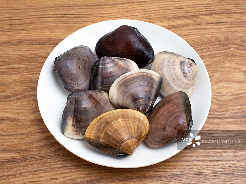 生蛤蜊图片素材