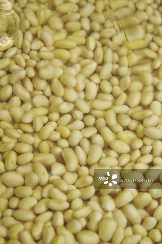 浸泡在水中的大豆照片图片素材