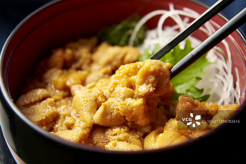 海胆饭碗图片素材