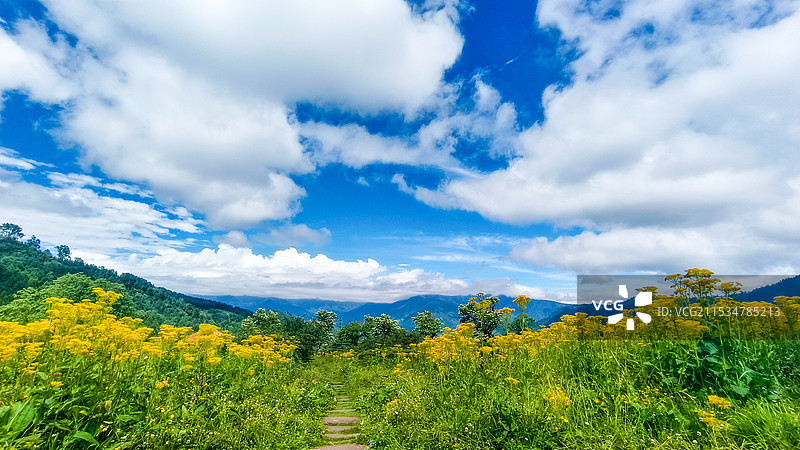 雅安硗碛藏寨·神木垒景区图片素材
