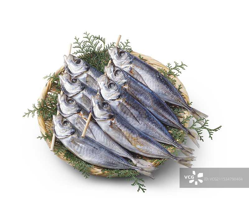 干马鲛鱼图片素材