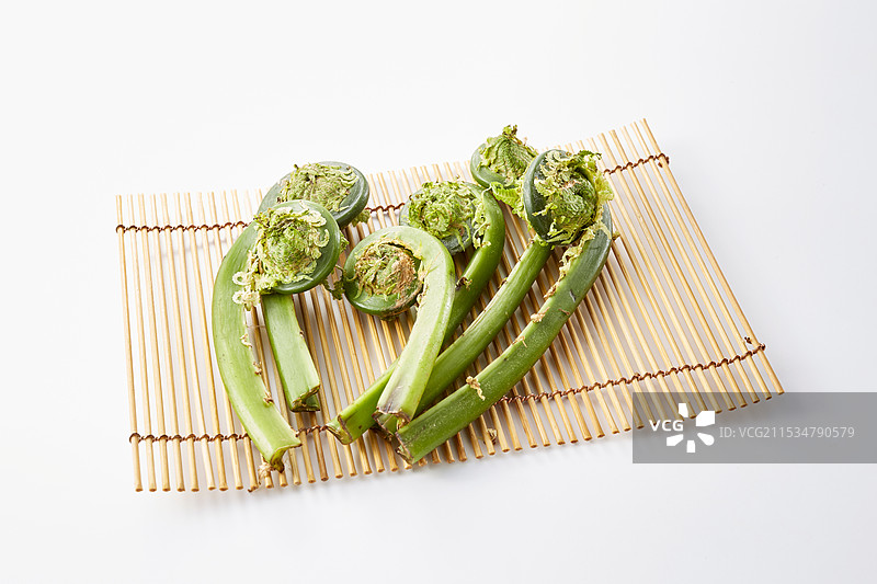 鸵鸟蕨图片素材