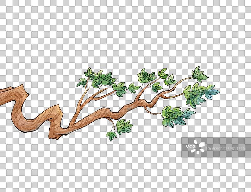 手绘水彩之古风绿色树枝树叶免抠元素图片素材