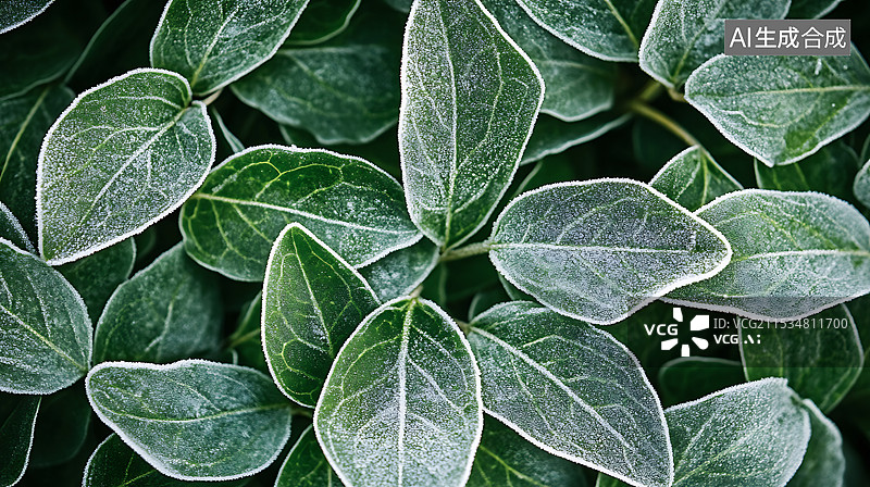 【AI数字艺术】冬天霜降下霜后的叶子图片素材