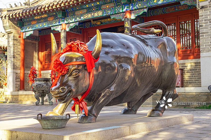 中国老君堂寺庙里，巨大的铜制金牛雕塑，户外白昼无人图像摄影图片素材
