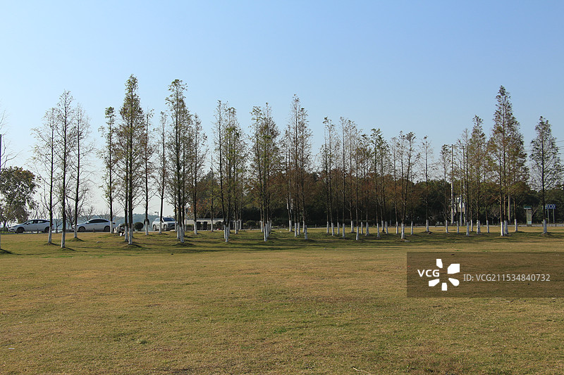 苏州淀山湖半马草坪图片素材