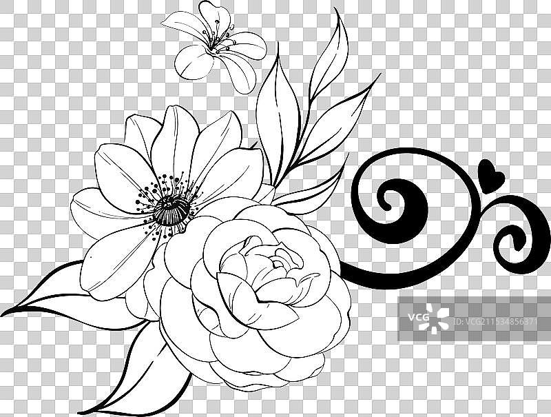 玫瑰、牡丹和蓝色银莲花的花束图案图片素材