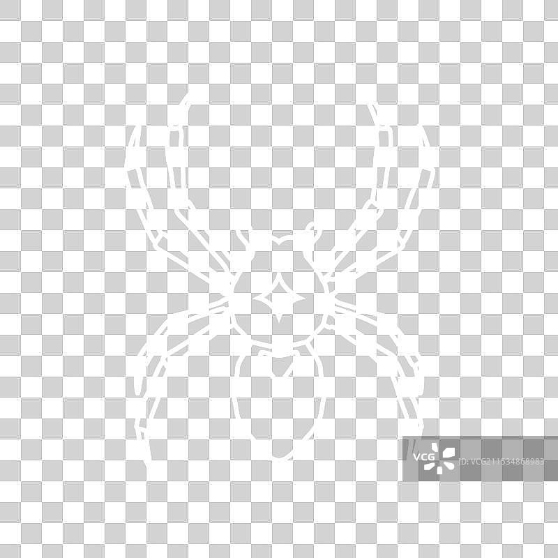 酷炫的蜘蛛线条极简标志设计图片素材