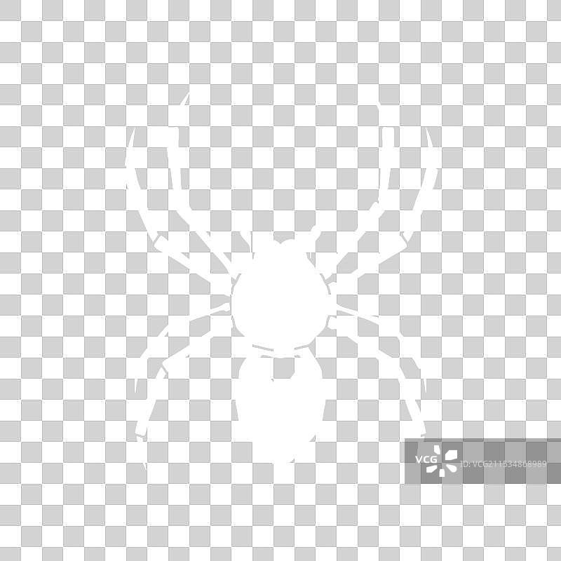 酷炫的蜘蛛现代简约logo设计图片素材