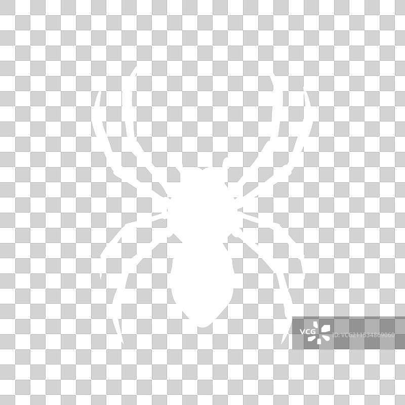 酷炫的蜘蛛现代简约logo设计图片素材