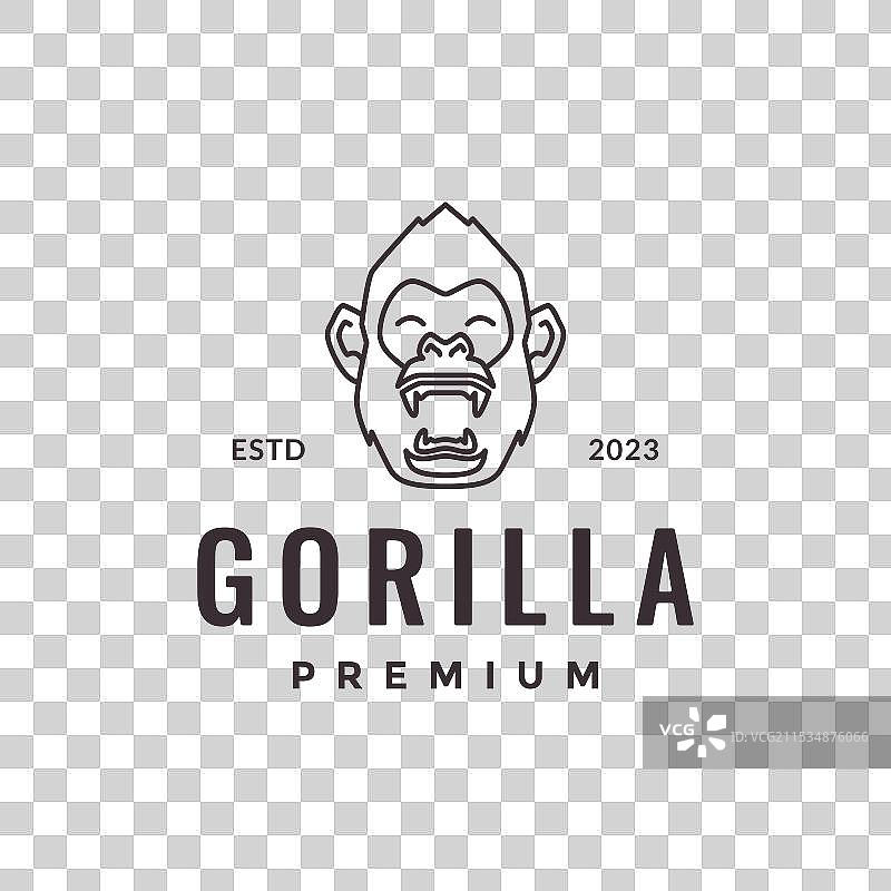 猩猩肖像咆哮野生动物野兽线条图片素材