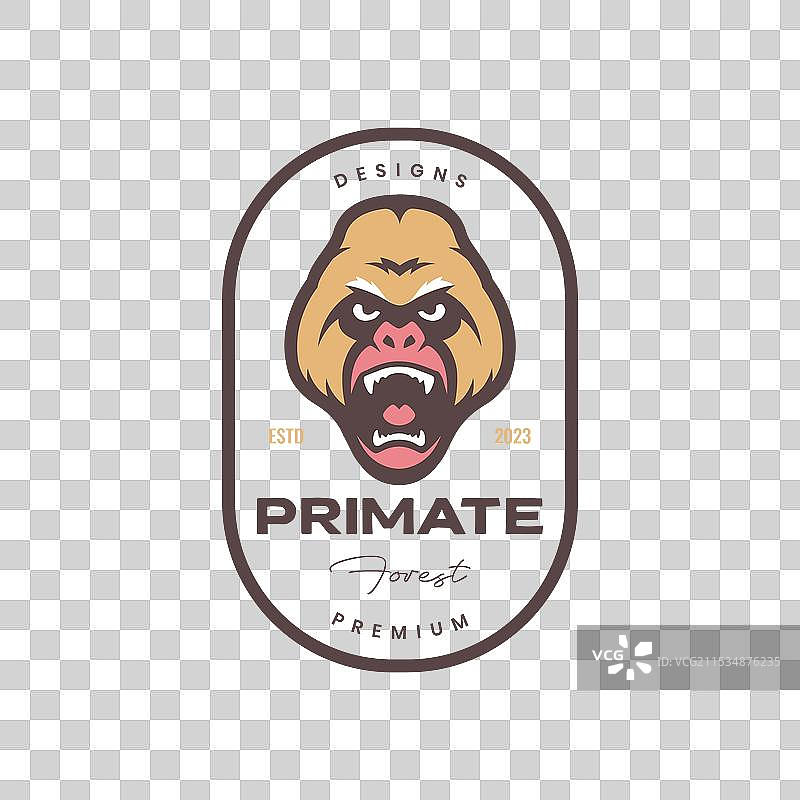 猩猩肖像咆哮野生动物野兽獠牙图片素材