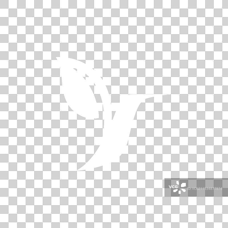 蜂鸟 叶子 自然 生态 现代 标志图片素材