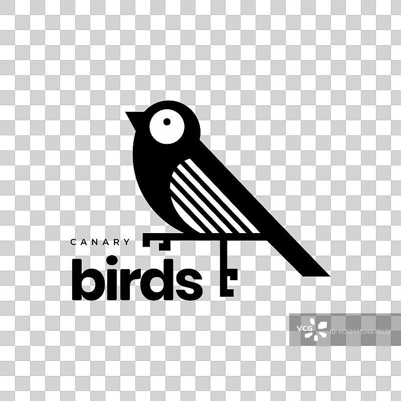 几何现代圆形的金丝雀鸟图片素材