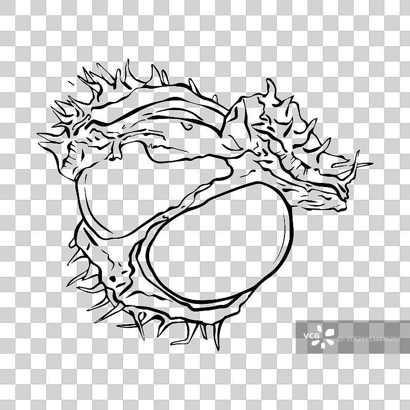 线条风格的开口栗子果实图片素材