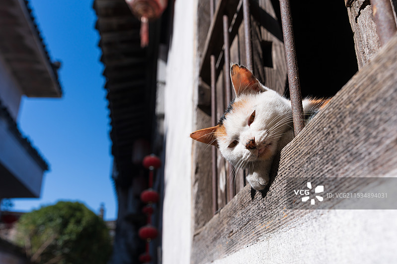 安徽 皖南 呈坎图片素材