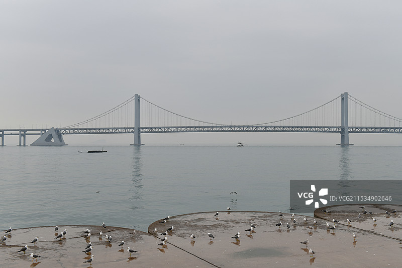 星海广场图片素材