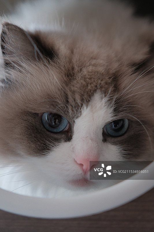 静与动图片素材