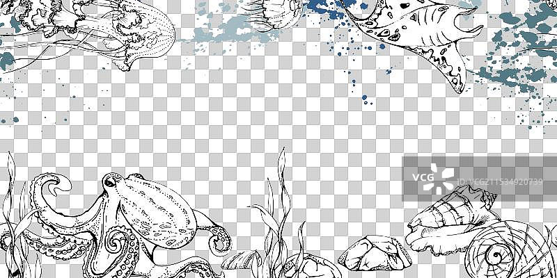 海洋生物 海洋 水下生物 鱼类图片素材