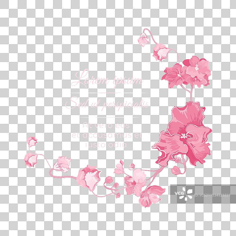 孤立的花环，手绘非洲紫罗兰图片素材