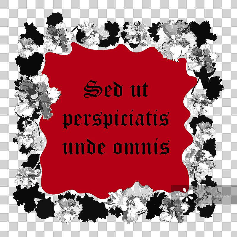 孤立的框架中盛开的深紫色花朵图片素材