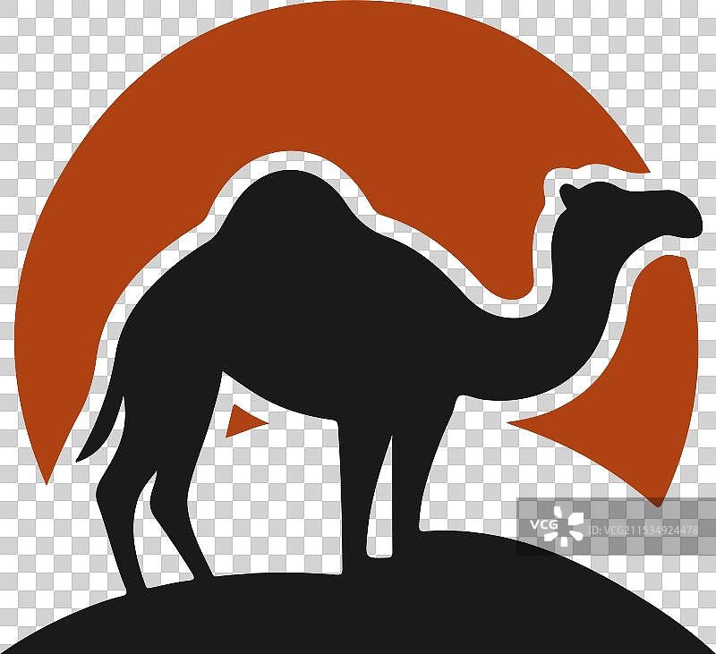 骆驼艺术设计与标志图片素材