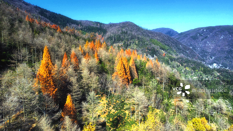 安吉九亩仙人石秋色图片素材