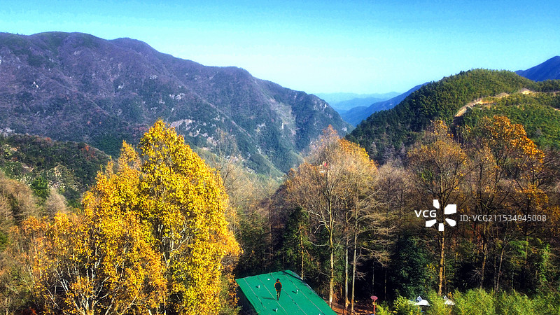 秋色烂漫，只缘身在此山中(安吉金钱松公园)图片素材