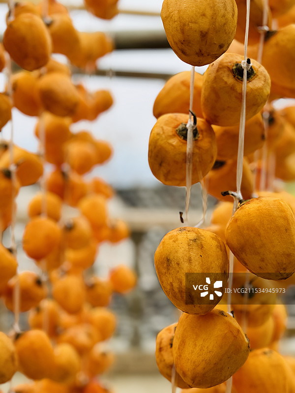 柿子饼图片素材