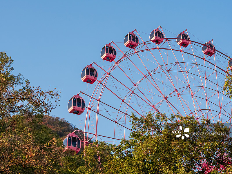 柳州动物园的摩天轮图片素材