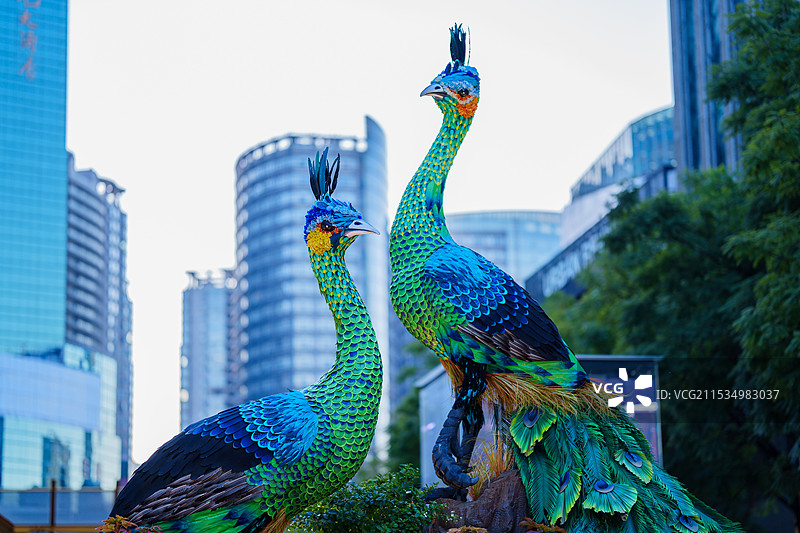 绿孔雀雕塑图片素材
