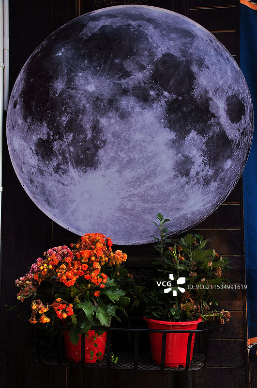 圆圆的月亮和鲜花图片素材