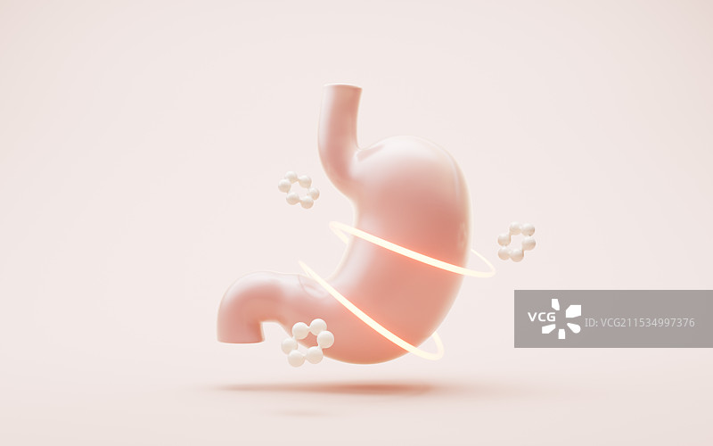 胃部与肠胃消化概念三维渲染图片素材