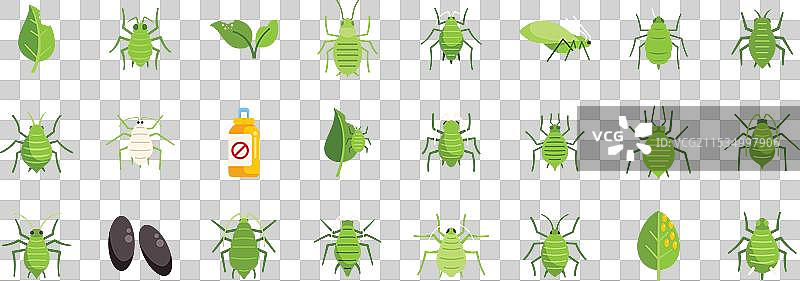 蚜虫图标展示植物虱害虫图片素材
