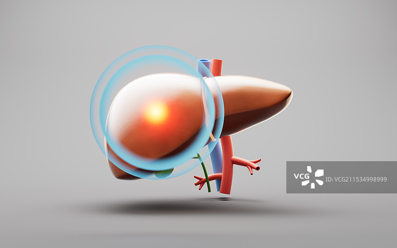 肝脏疾病与生物医学三维渲染图片素材
