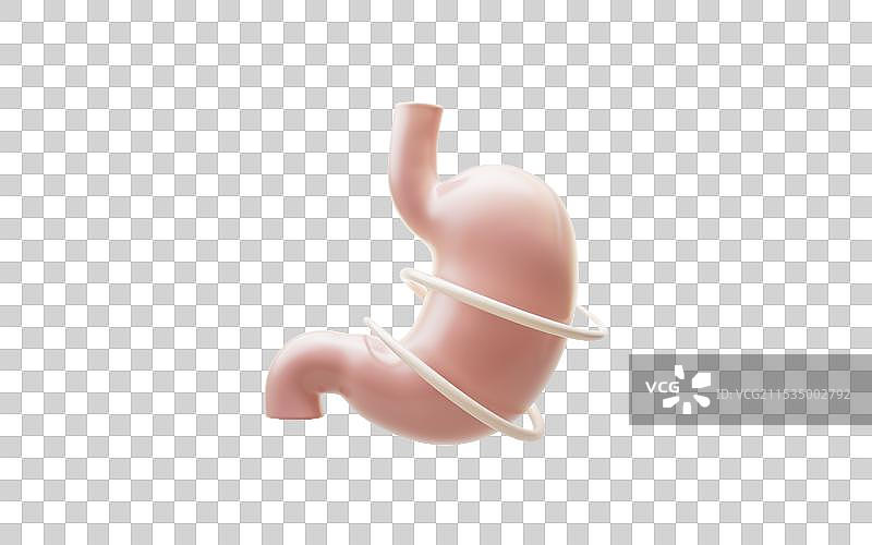 胃部与肠胃消化概念三维渲染图片素材