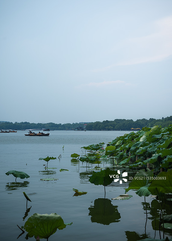 西湖图片素材