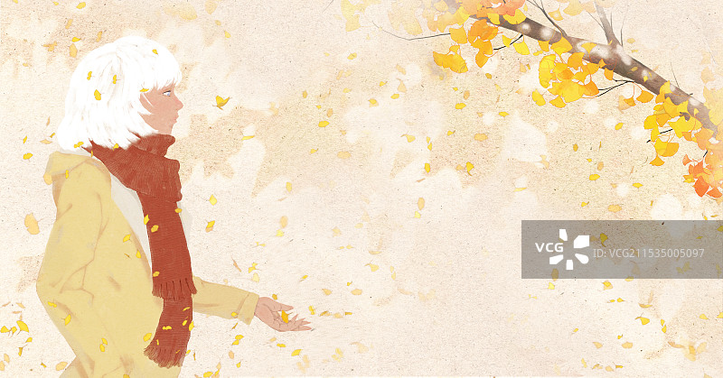 秋天遇见一只猫图片素材