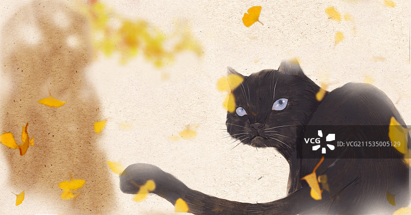 黑色的猫与银杏图片素材