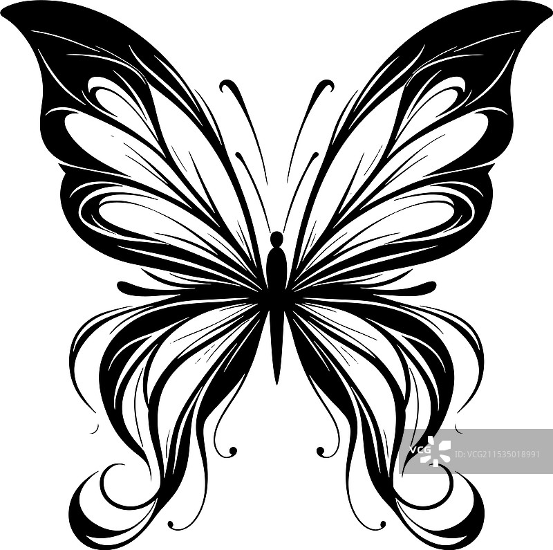 适合平面设计师的蝴蝶艺术图片素材