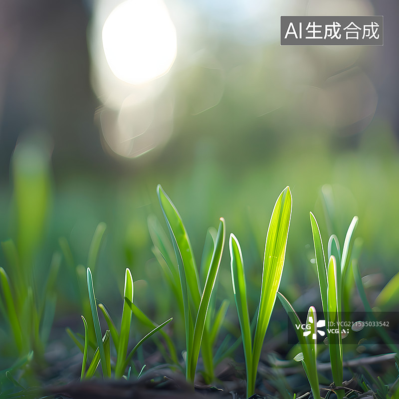 【AI数字艺术】土壤里种子发芽绿色图片素材
